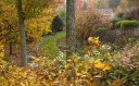 Autumn color in the garden